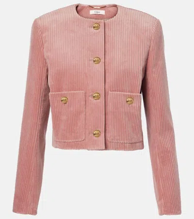 CHLOÉ COTTON VELVET CORDUROY JACKET