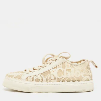 Pre-owned Chloé Cream Lace And Leather Lauren Low Top Sneakers Size 41