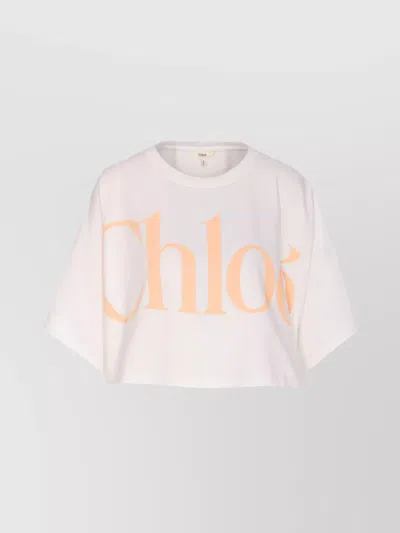 CHLOÉ CREWNECK CROP MODEL ROUND NECK SHORT SLEEVES
