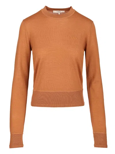 Chloé Crewneck Knitewear Knitwear Brown