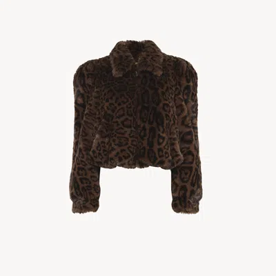 Chloé Cropped Bomber Jacket In Faux Fur Brown Size 8 100% Polyester, Lambskin