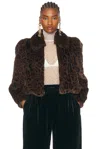 Chloé Cropped Bomber Jacket In Animal Print