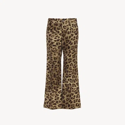 Chloé Pantalon Bootcut Court En Velours De Coton Imprimé Léopard Femme Brun Taille 36 100% Coton In Brown
