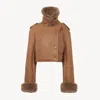 Chloé Cropped Shearling-trimmed Leather Jacket In Brown