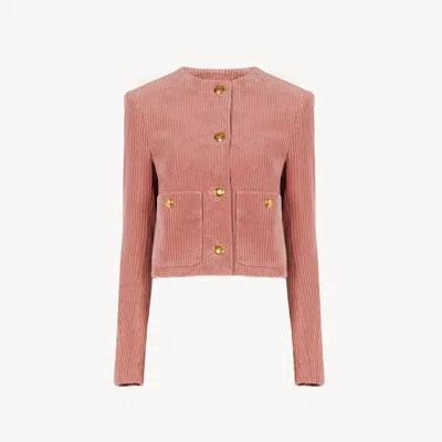 Chloé Cropped Boxy Jacket In Velvet In Pink