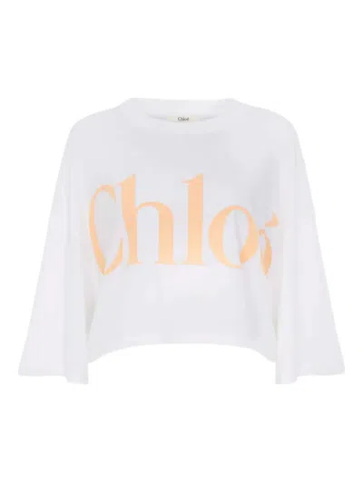 Chloé White Cropped Crewneck T-shirt With Maxi Logo Print On The Front In Cotton Woman In Multicolor