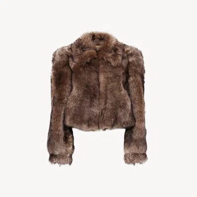 Chloé Cropped Jacket In Shearling In Brown