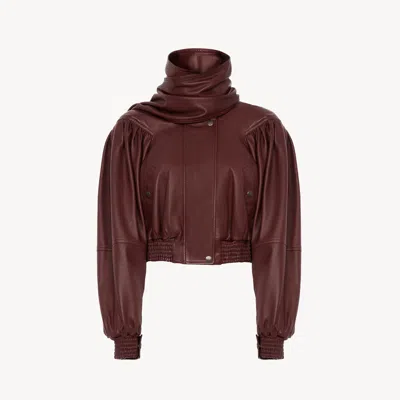 Chloé Cropped Scarf Jacket In Leather In Brown