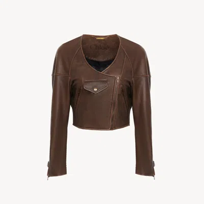 Chloé Cropped Scoop-neck Jacket In Leather In Brown