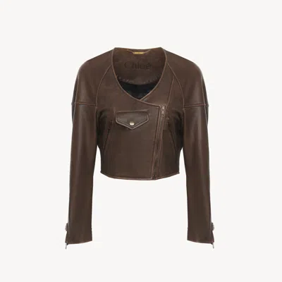 Chloé Cropped Scoop-neck Jacket In Leather Brown Size 6 100% Lambskin