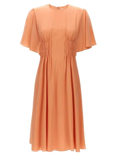 Chloé Wing Sleeved Flared Dress In Pink