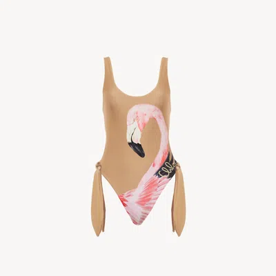 Chloé Cut-out One-piece Swimsuit In Brown