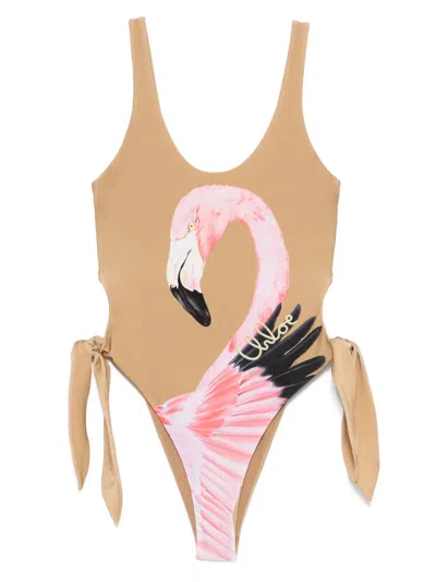 Chloé Cut-out Swimsuit In Brown