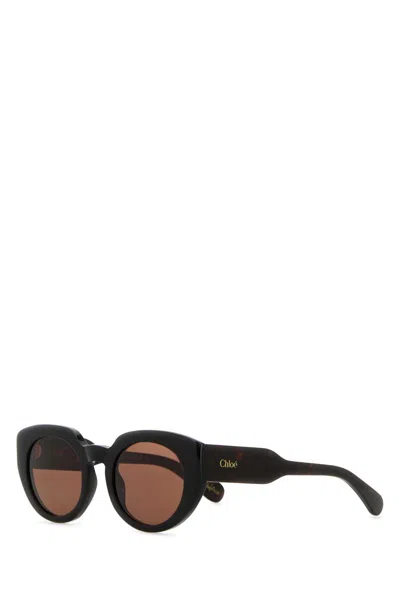 Chloé Dark Brown Acetate Gayia Sunglasses In Havana-havana-brown