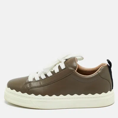 Pre-owned Chloé Dark Grey Leather Lauren Lace Up Low Top Sneakers Size 39 In Gray