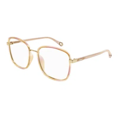 Chloé Chloe Demo Square Ladies Eyeglasses Ch0034o 016 53 In Gray