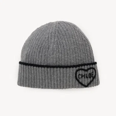 Chloé Divine Grey In Brown