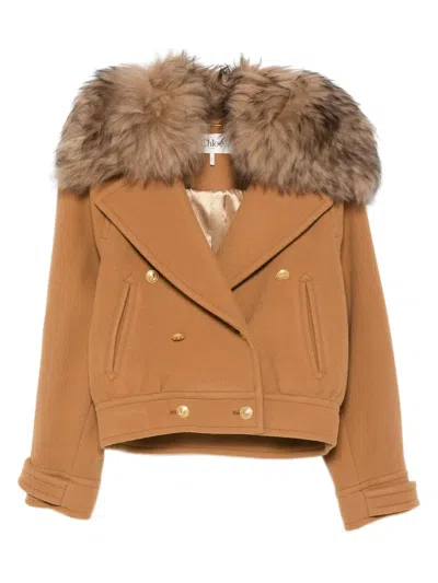 Chloé Wool Blend Jacket Fur Collar In Gold