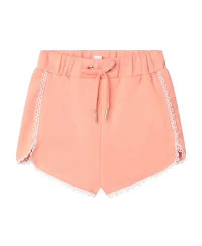 Chloé Drawstring Cotton Shorts In Pink
