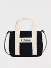 Chloé Teddy Shoulder Bag In Blue