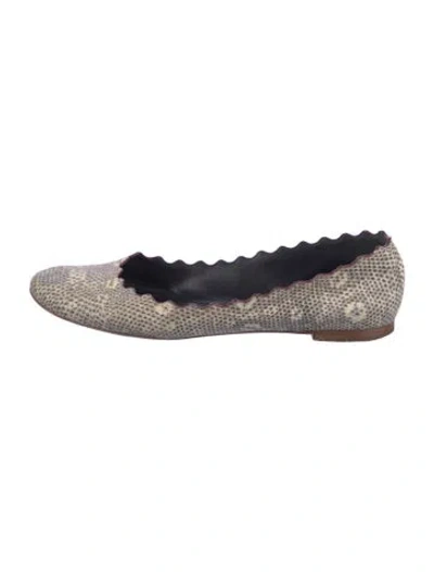 Pre-owned Chloé Embossed Leather Animal Print Ballet Flats In Neutral