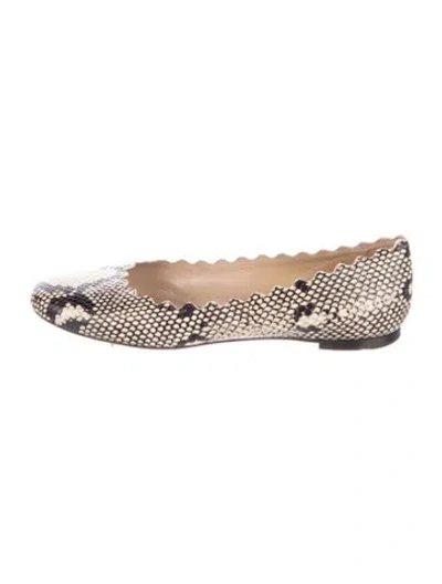 Pre-owned Chloé Embossed Leather Animal Print Flats In Brown