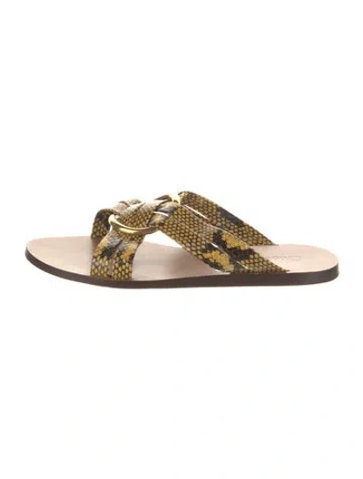 Pre-owned Chloé Embossed Leather Animal Print Slides In Brown