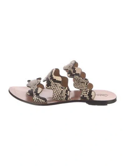 Pre-owned Chloé Embossed Leather Animal Print Slides In Neutral
