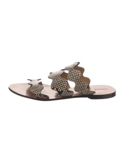 Pre-owned Chloé Embossed Leather Animal Print Slides In Neutral