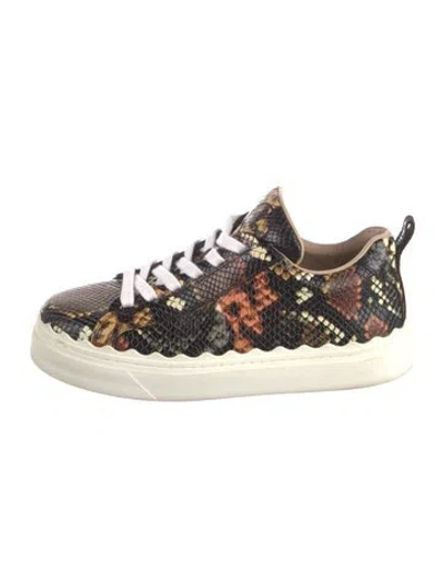 Pre-owned Chloé Embossed Leather Animal Print Sneakers In Black/orange
