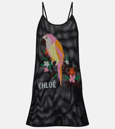 Chloé Embroidered Cotton Minidress In Black