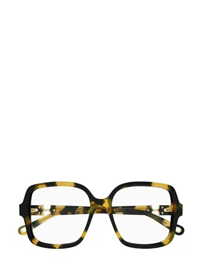 CHLOÉ CHLOÉ EYEGLASSES