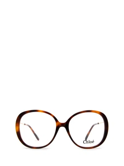 Chloé Eyeglasses In Brown