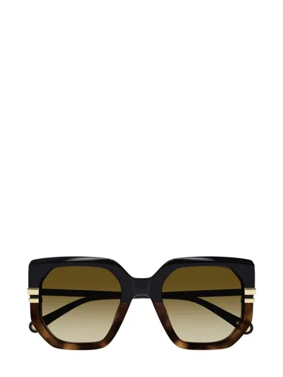 Chloé Oversize-frame Sunglasses In Multi