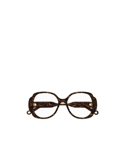 Chloé Eyewear Butterfly-frame Glasses In Multicolor