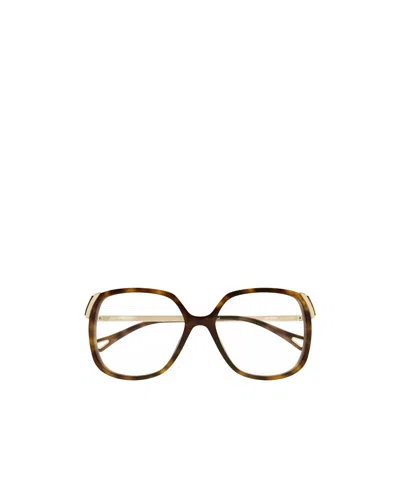 Chloé Eyewear Butterfly-frame Glasses In Green
