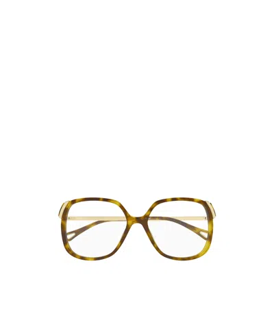 Chloé Eyewear Butterfly-frame Glasses In Brown