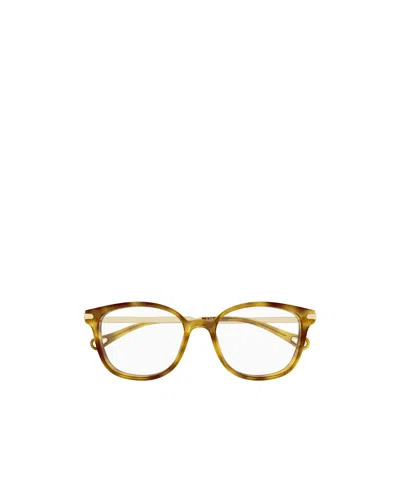 Chloé Eyewear Cat-eye Frame Glasses In Green