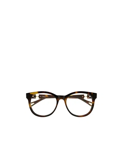 Chloé Eyewear Cat-eye Glasses In Brown
