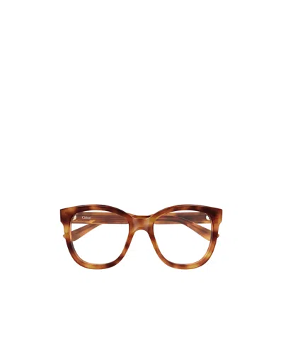 Chloé Eyewear Cat-eye Glasses In Neutral