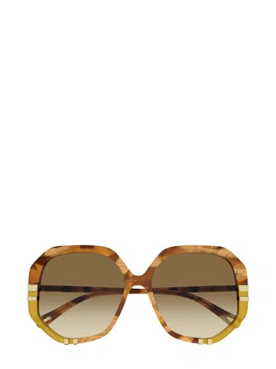 Chloé Eyewear Geometric Frame Sunglasses In Brown