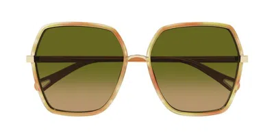 Chloé Oversize-frame Sunglasses In Multi