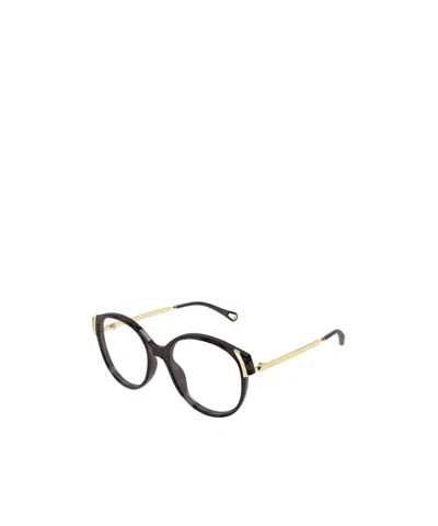 Chloé Eyewear Oval-frame Glasses In Multi