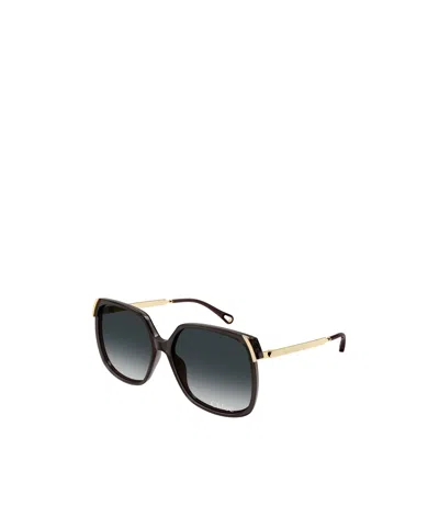 Chloé Butterfly-frame Sunglasses In Black