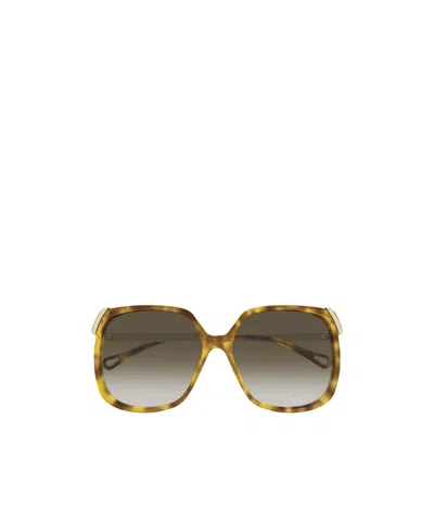 Chloé Eyewear Oversized Square Sunglasses In Green