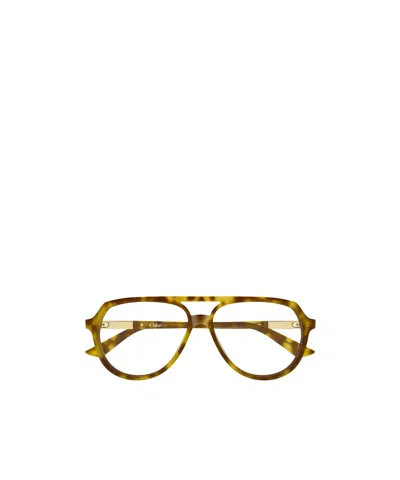 Chloé Eyewear Pilot Frame Glasses In Brown