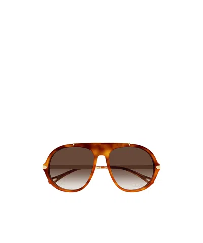 Chloé Eyewear Pilot Frame Sunglasses In Brown