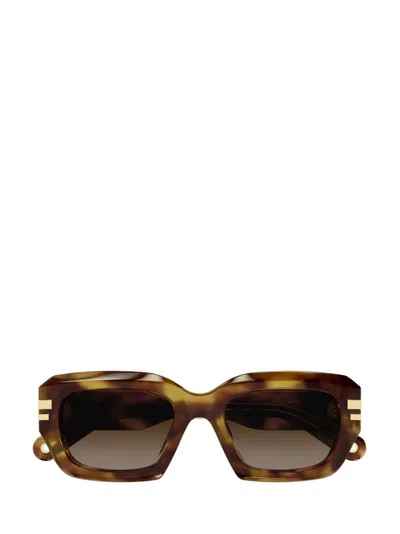 Chloé Ch0256s Sunglasses In Multi