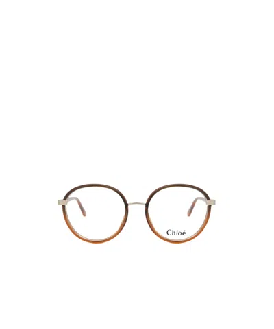 Chloé Eyewear Round Frame Glasses In Brown