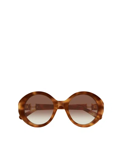 Chloé Eyewear Round Frame Sunglasses In Brown